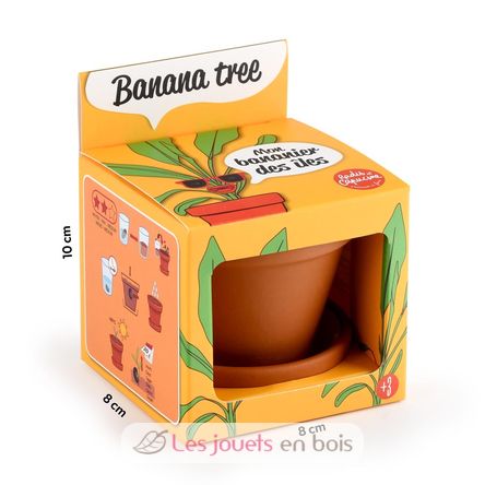 Je fais pousser mon Bananier RC-014265 Radis et Capucine 6