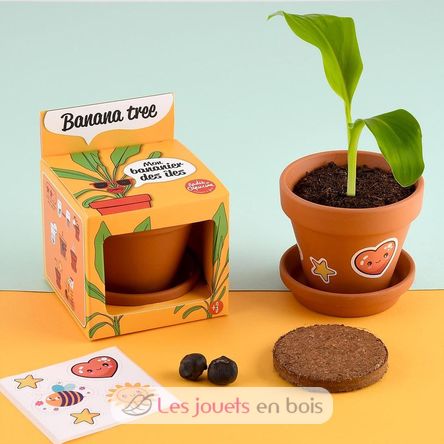 Je fais pousser mon Bananier RC-014265 Radis et Capucine 3