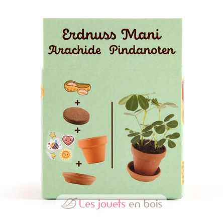 Je fais pousser mes Cacahuètes RC-014264 Radis et Capucine 5