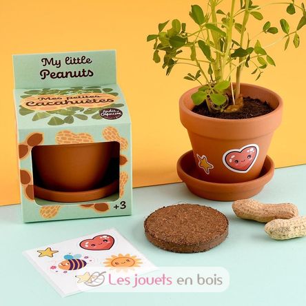 Je fais pousser mes Cacahuètes RC-014264 Radis et Capucine 3