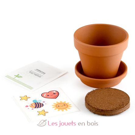 Je fais pousser ma Plante carnivore RC-027001 Radis et Capucine 5