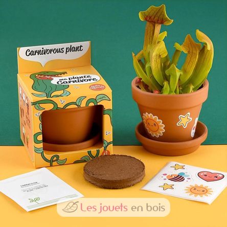 Je fais pousser ma Plante carnivore RC-027001 Radis et Capucine 3