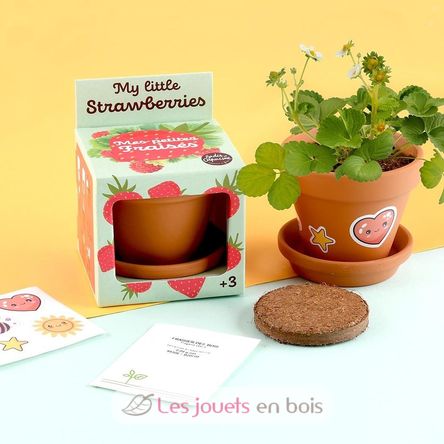 Je fais pousser mon Fraisier RC-027913 Radis et Capucine 5