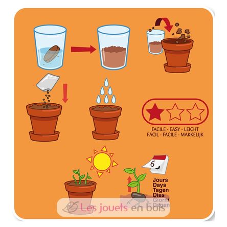 Je fais pousser mon Haricot géant RC-140967 Radis et Capucine 3