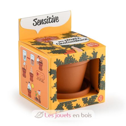 Je fais pousser mon Mimosa pudica RC-025965 Radis et Capucine 1