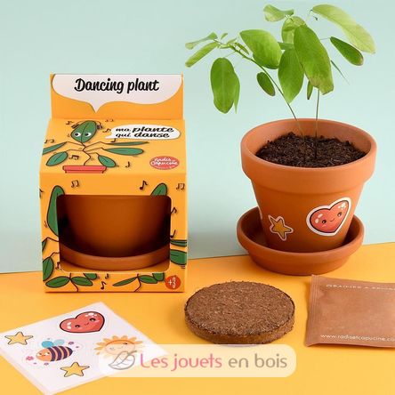 Je fais pousser ma Plante qui danse RC-028733 Radis et Capucine 3