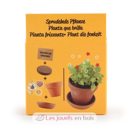 Je fais pousser ma Plante qui pétille RC-029637 Radis et Capucine 4