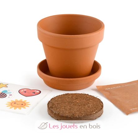 Je fais pousser ma Plante qui pétille RC-029637 Radis et Capucine 6