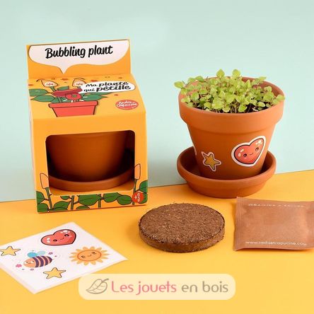 Je fais pousser ma Plante qui pétille RC-029637 Radis et Capucine 2
