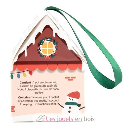 Mon sapin de Noël à faire pousser RC-143304 Radis et Capucine 2