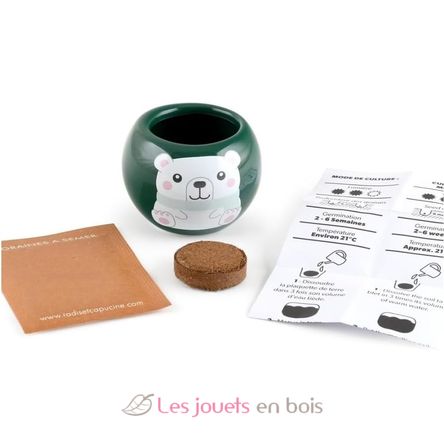 Mon sapin de Noël à faire pousser RC-143304 Radis et Capucine 3