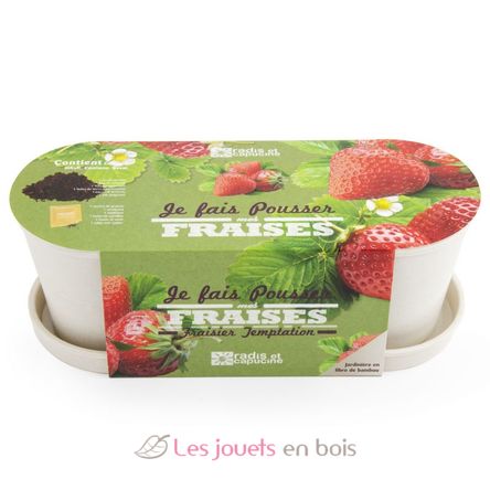 Jardinière en bambou Fraisiers RC-036966 Radis et Capucine 4