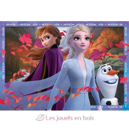 Puzzle Disney La Reine des Neiges 2x24 pcs RAV-05010 Ravensburger 2