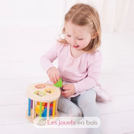 Rouleau trieur de formes BJ-BB096 Bigjigs Toys 4
