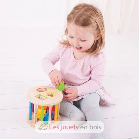 Rouleau trieur de formes BJ-BB096 Bigjigs Toys 4