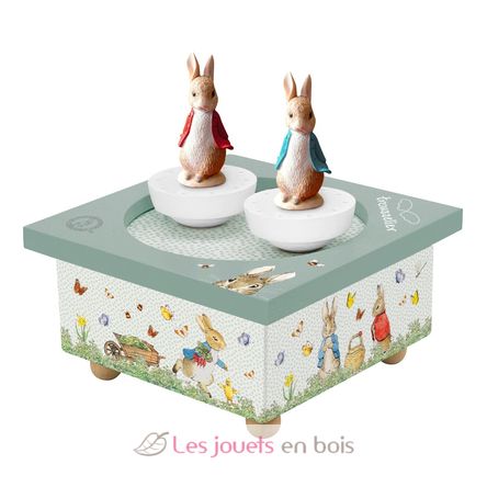 Serre Livre en Bois Peter Rabbit