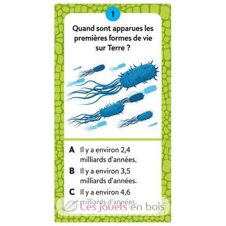 Coffret Méga Atlas des Dinosaures SJ-307568 Sassi Junior 3