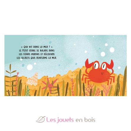 Douces histoires sonores La mer SJ-309449 Sassi Junior 2