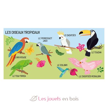 Livre et puzzle Les oiseaux SJ-329331 Sassi Junior 4