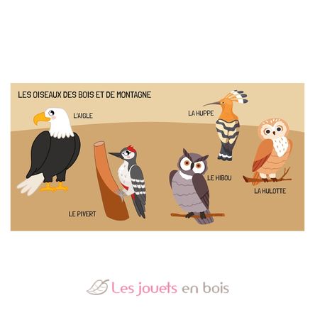 Livre et puzzle Les oiseaux SJ-329331 Sassi Junior 5