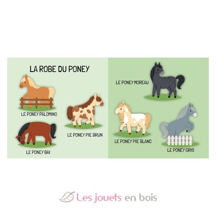 Livre et puzzle Les Poneys SJ-329898 Sassi Junior 4