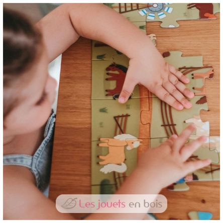 Livre et puzzle Les Poneys SJ-329898 Sassi Junior 7