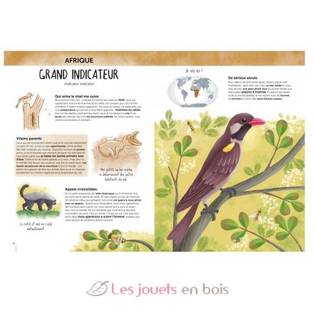 Atlas de la Biodiversité - Animaux insolites et curieux SJ-2579 Sassi Junior 3