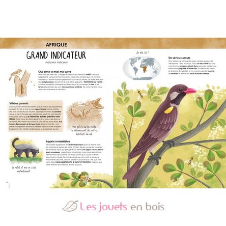 Atlas de la Biodiversité - Animaux insolites et curieux SJ-4086 Sassi Junior 3