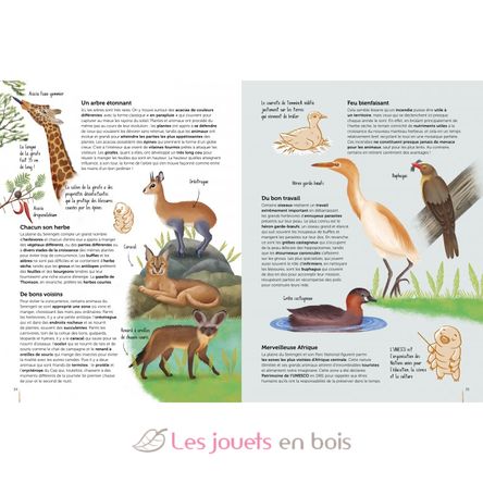 Atlas de la Biodiversité - Ecosystèmes à protéger SJ-6127 Sassi Junior 3