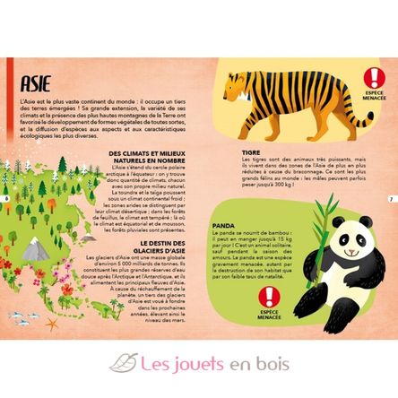 Voyage, découvre, explore - Les animaux SJ-2600 Sassi Junior 3