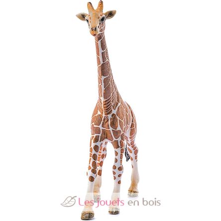 Figurine Girafe mâle SC-14749 Schleich 2