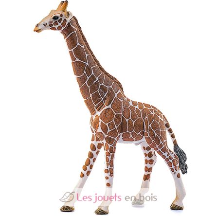 Figurine Girafe mâle SC-14749 Schleich 4
