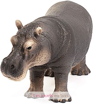 Figurine Hippopotame SC-14814 Schleich 3