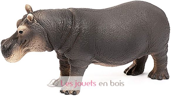 Figurine Hippopotame SC-14814 Schleich 4