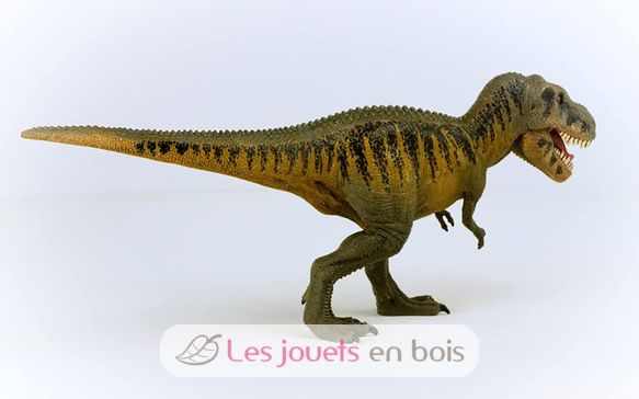 Figurine Tarbosaure SC-15034 Schleich 5