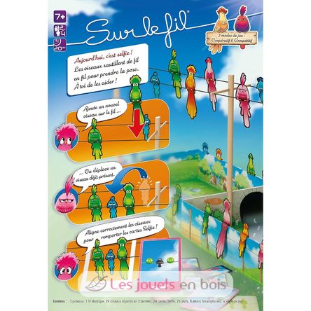 Sur le fil GI-GSUR Gigamic 4