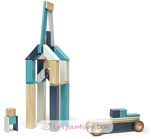 Set de 42 pièces Blues TG-42P-BLU-508T Tegu 11