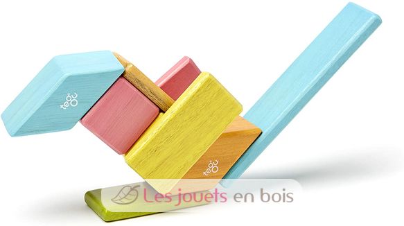 Set de 14 pièces Tints TG-14P-TNT-306T Tegu 9