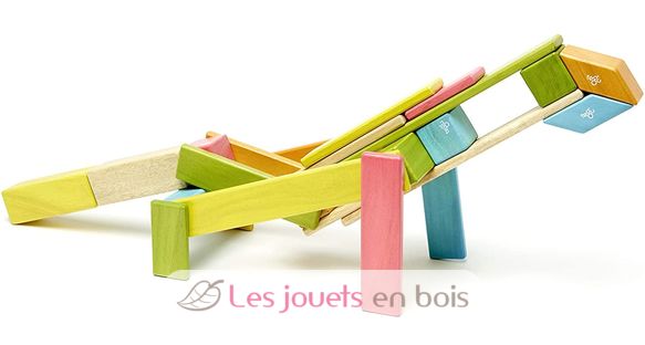 Set de 24 pièces Tints TG-24P-TNT-306T Tegu 10