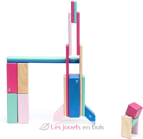 Set de 24 pièces Blossom TG-24P-BSM-607T Tegu 12