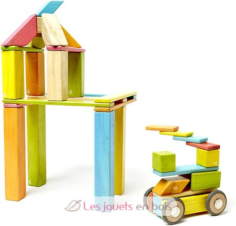 Blocs de construction magnétiques de Tegu  24 blocs de construction  magnétiques en bois pour enfants –