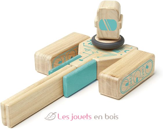 Blocs magnétiques Magbot TG-MGB-TL1-405T Tegu 9