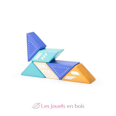 6 blocs en bois magnétiques - Avion à réaction TG-PAL-JET-706T Tegu 2
