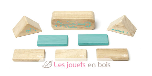 Blocs magnétiques Robo TG-RBO-TL1-405T Tegu 6