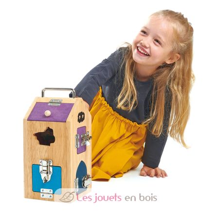 Boîte de verrouillage Monstres TL8341 Tender Leaf Toys 4