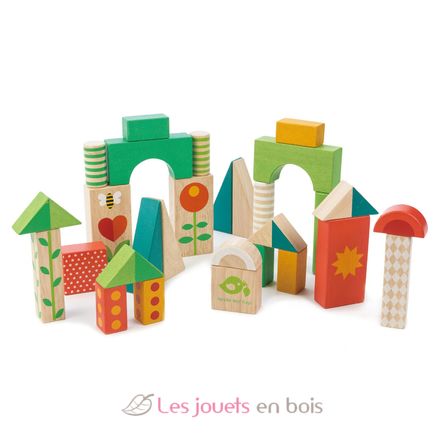 Chariot de marche avec blocs colorés TL8464 Tender Leaf Toys 3