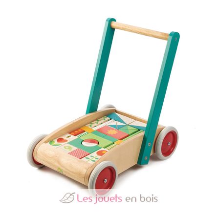 Chariot de marche avec blocs colorés TL8464 Tender Leaf Toys 4