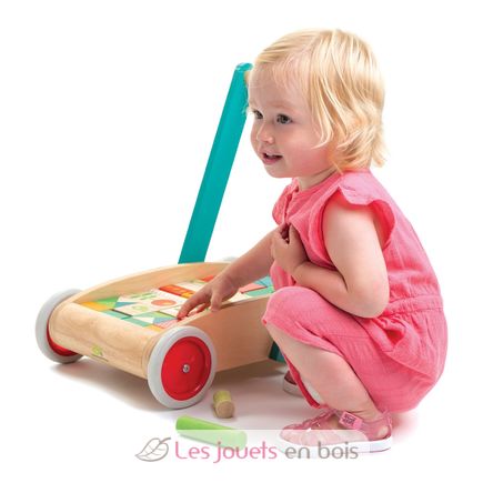 Chariot de marche avec blocs colorés TL8464 Tender Leaf Toys 5