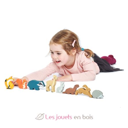 Set animaux en bois Forêt TL8470 Tender Leaf Toys 5