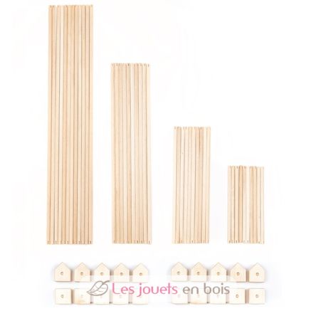 Trigonos Maxi Bio Arbaro TG-MAXI-ARBARO Trigonos 7